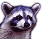 Smiling Raccoon Icon